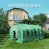 Invernadero túnel 2x3
