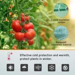 Invernadero túnel 3x10