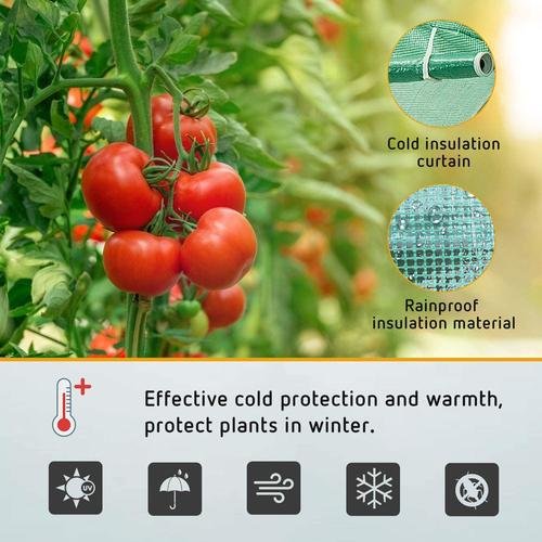 Invernadero túnel 3x10